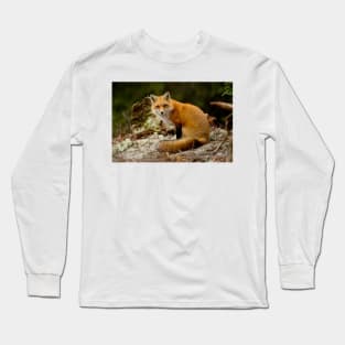 Red Fox Long Sleeve T-Shirt